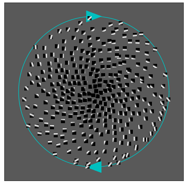 ../_images/notebooks_ImagePatches_9_0.png